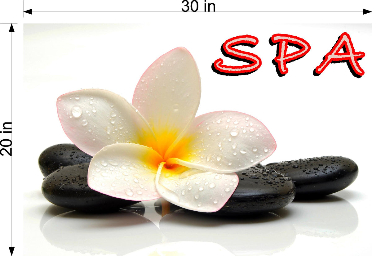 Spa 12 Window Decal Interior/Exterior Massage | NAILSIGNS.com – Nail Signs