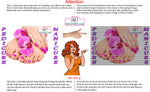 Pedicure & Manicure 19 Perforated Mesh One Way Vision Window Vinyl Nail Salon See Through Sign Horizontal