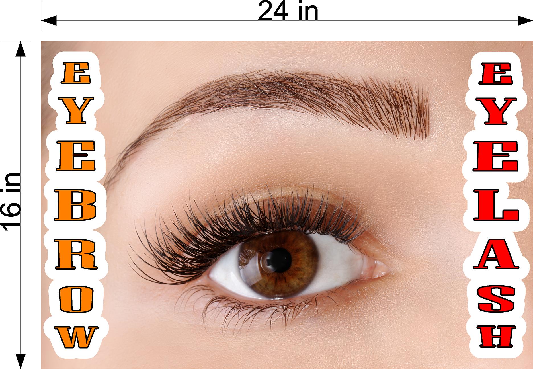 Eyebrows 15 Wallpaper Poster Decal with Adhesive Backing Wall Sticker Decor Indoors Interior Sign Eyelash Horizontal